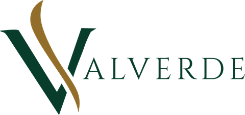 Valverde — Gestão e Inovação